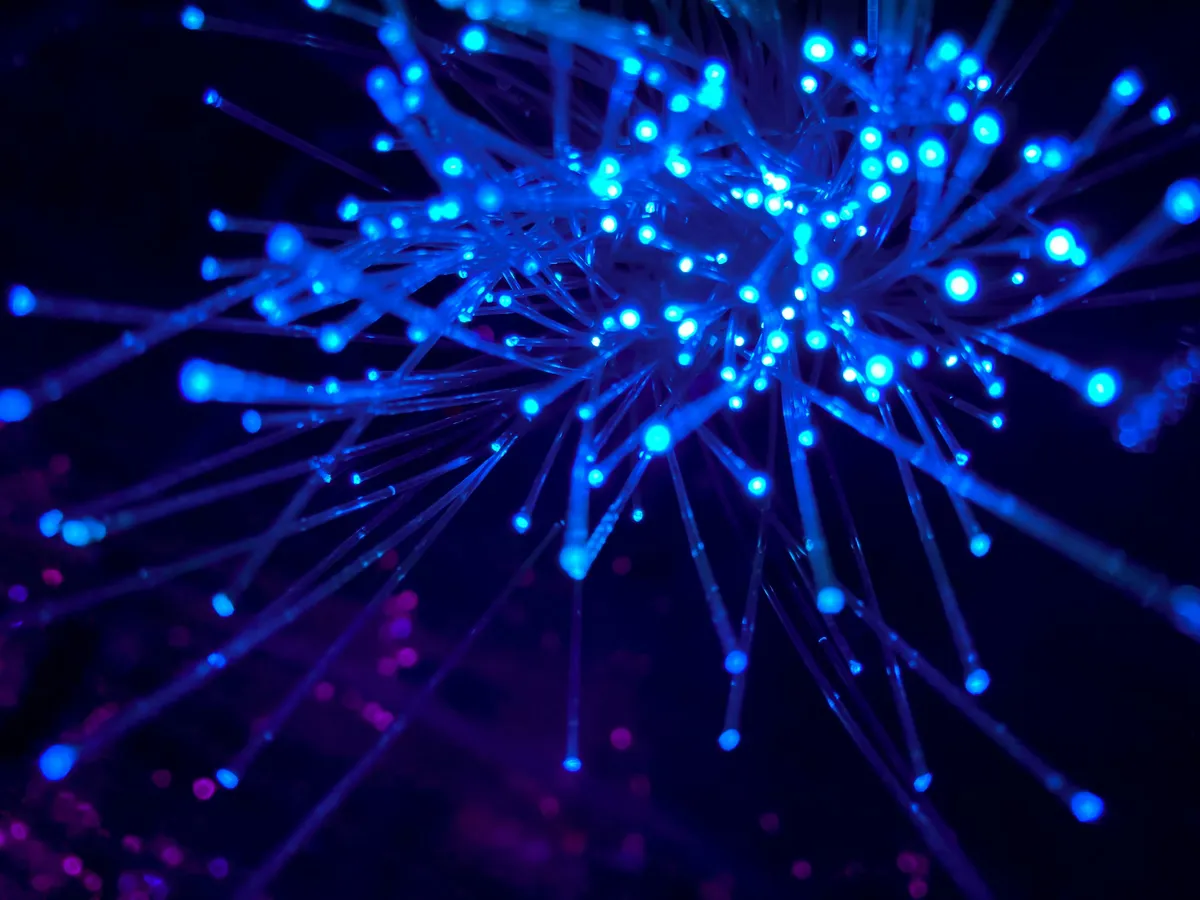 Close-up of glowing blue fiber optic strands with light points against a dark background.